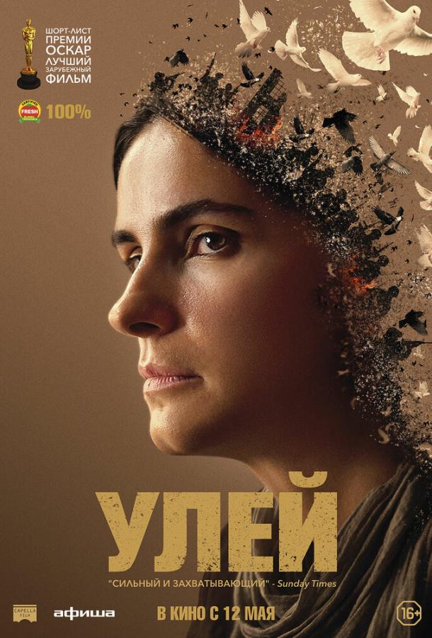 Улей (2020) онлайн бесплатно