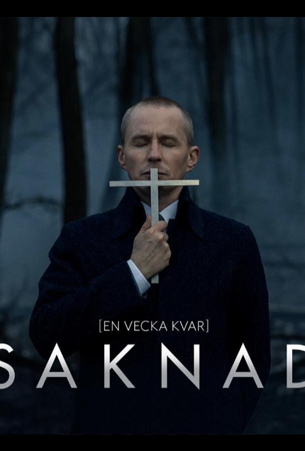 Пропавшая (2017) онлайн бесплатно